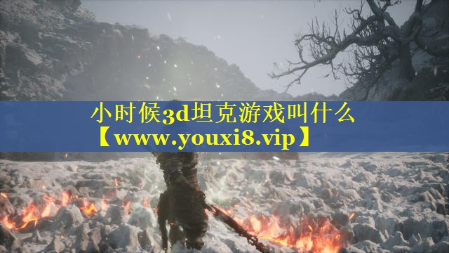 小时候3d坦克游戏叫什么