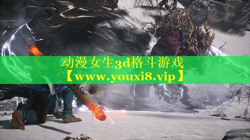 动漫女生3d格斗游戏