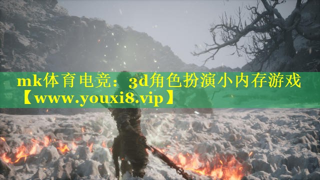 mk体育电竞：3d角色扮演小内存游戏