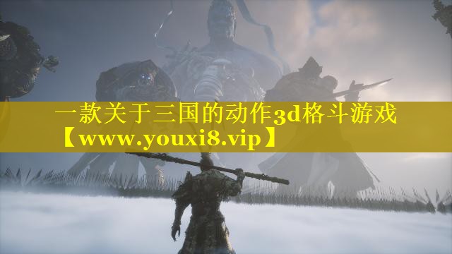 一款关于三国的动作3d格斗游戏