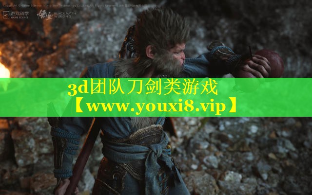 3d团队刀剑类游戏