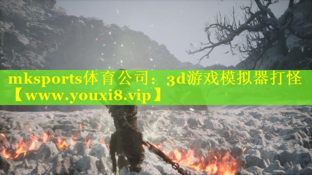 mksports体育公司：3d游戏模拟器打怪
