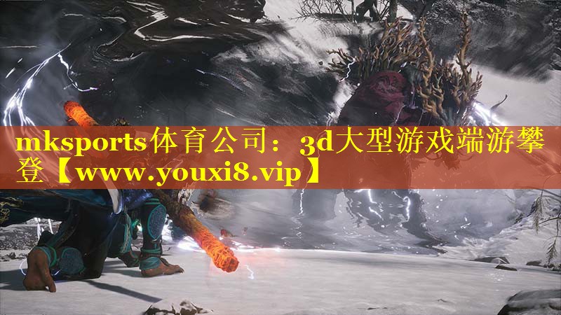 mksports体育公司：3d大型游戏端游攀登