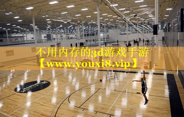 不用内存的3d游戏手游