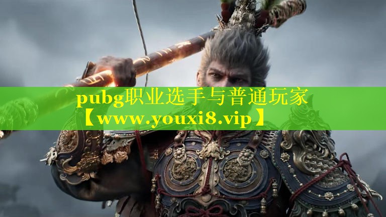 pubg职业选手与普通玩家