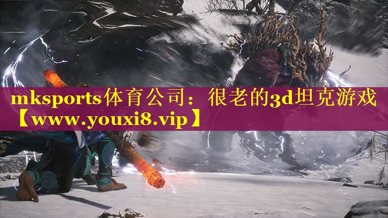 mksports体育公司：很老的3d坦克游戏
