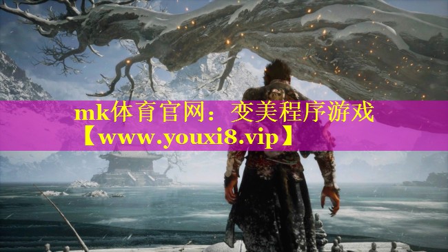 变美程序游戏