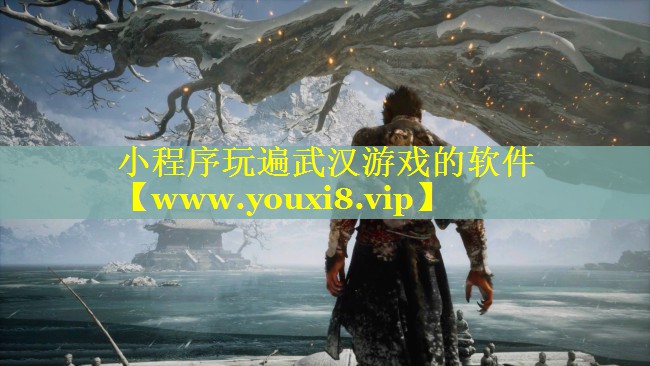 小程序玩遍武汉游戏的软件