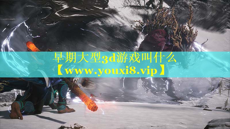 早期大型3d游戏叫什么