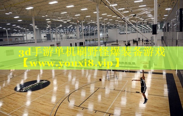 3d手游单机刷野怪爆装备游戏