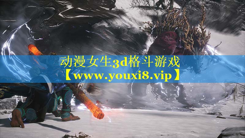 动漫女生3d格斗游戏