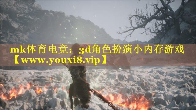 3d角色扮演小内存游戏
