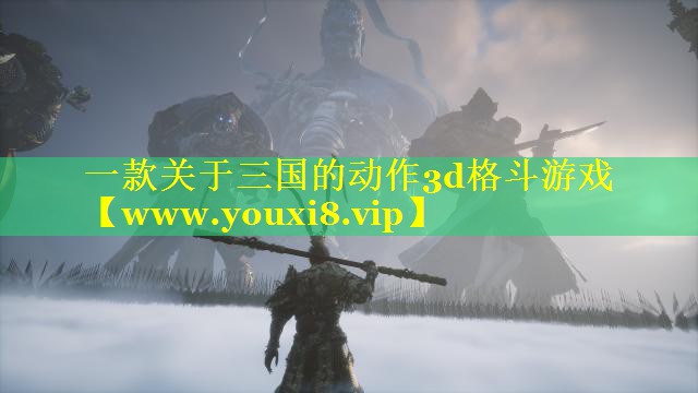 一款关于三国的动作3d格斗游戏