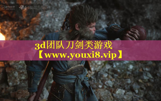 3d团队刀剑类游戏