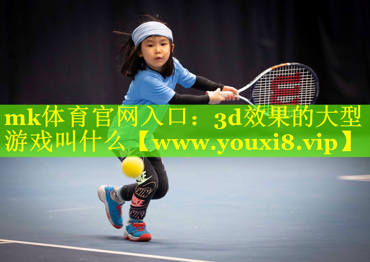 3d效果的大型游戏叫什么