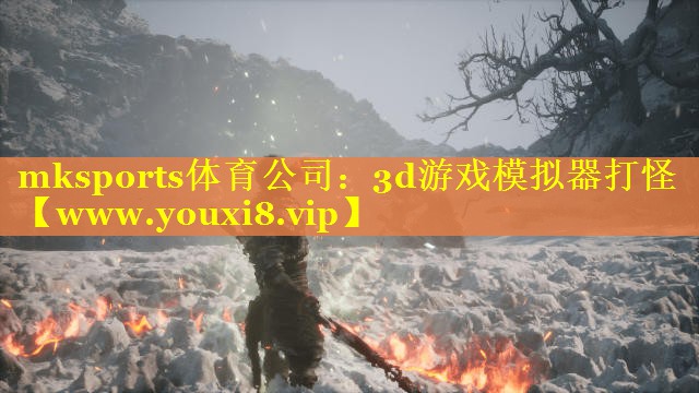 3d游戏模拟器打怪