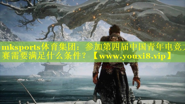 参加第四届中国青年电竞大赛需要满足什么条件？